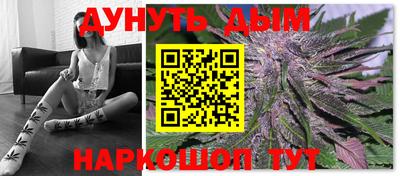 сатива Аргун