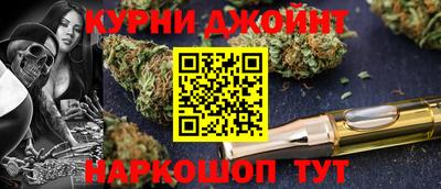 сатива Аргун